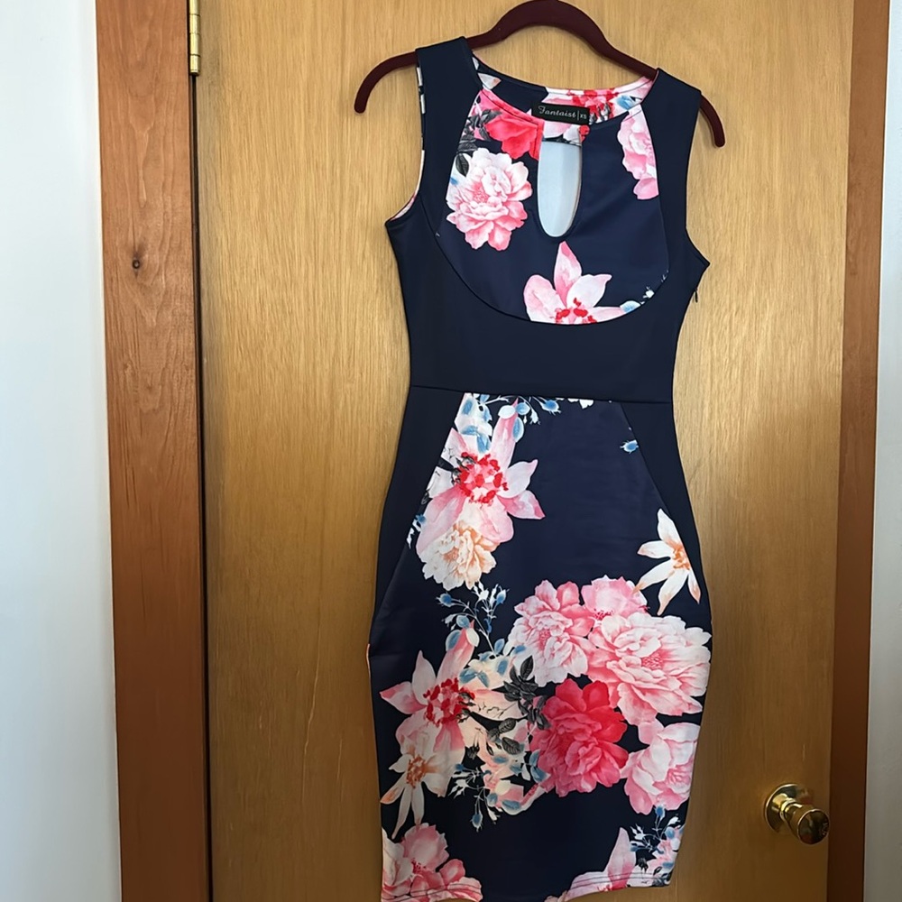Blue & Pink floral dress sz XS  Fantaist